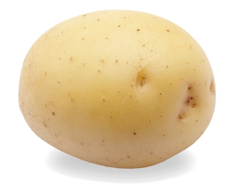 Сорт картофеля "Коломба"®